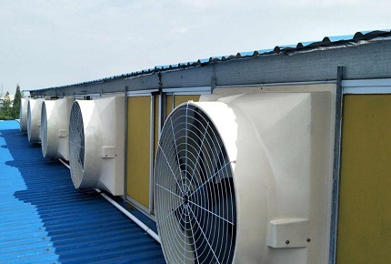 牛飼育のための指示: 牛小屋での換気循環ファンと排気ファンの使用を区別する方法は?