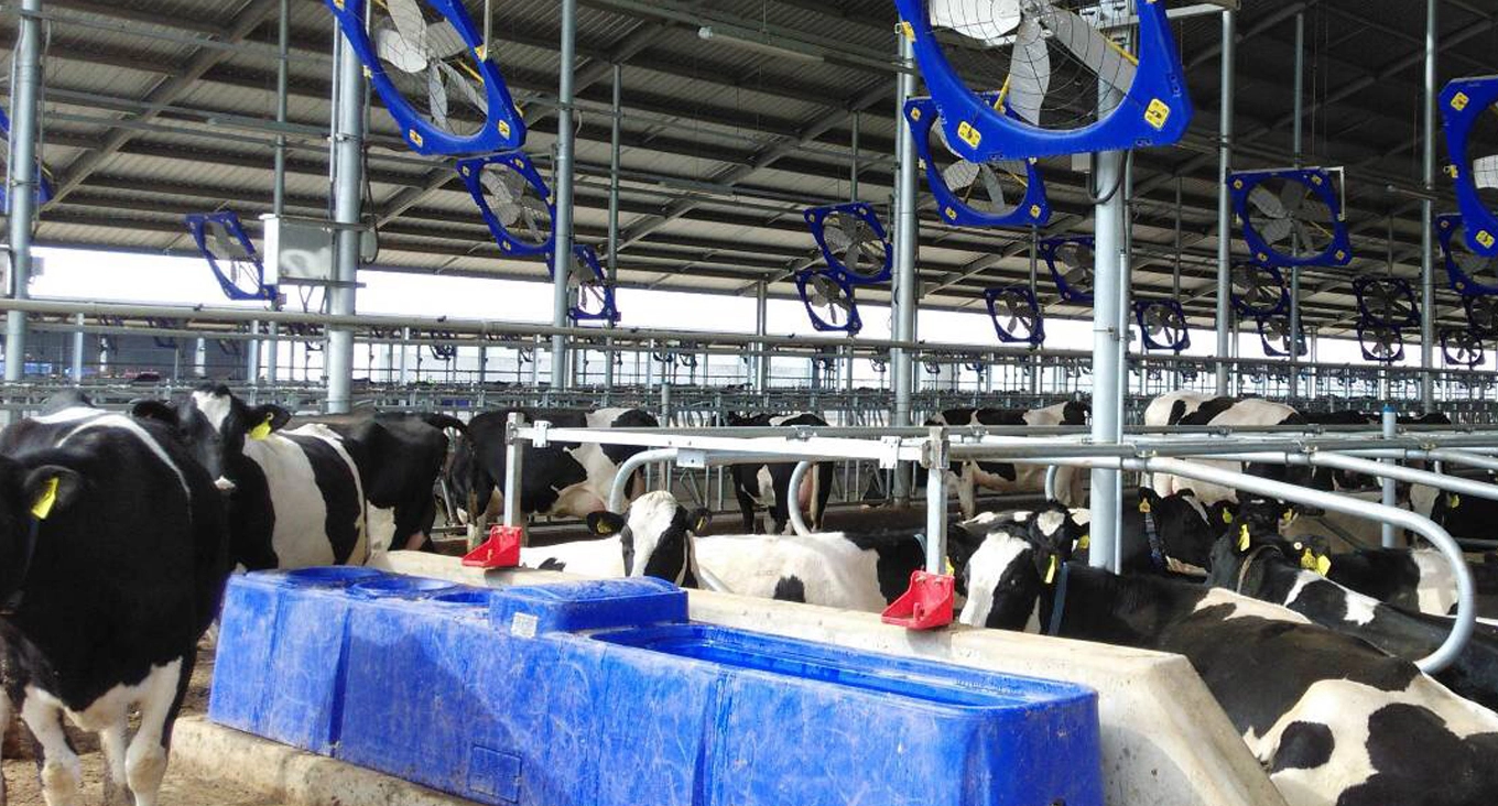 農場と牧場の設備ソリューション