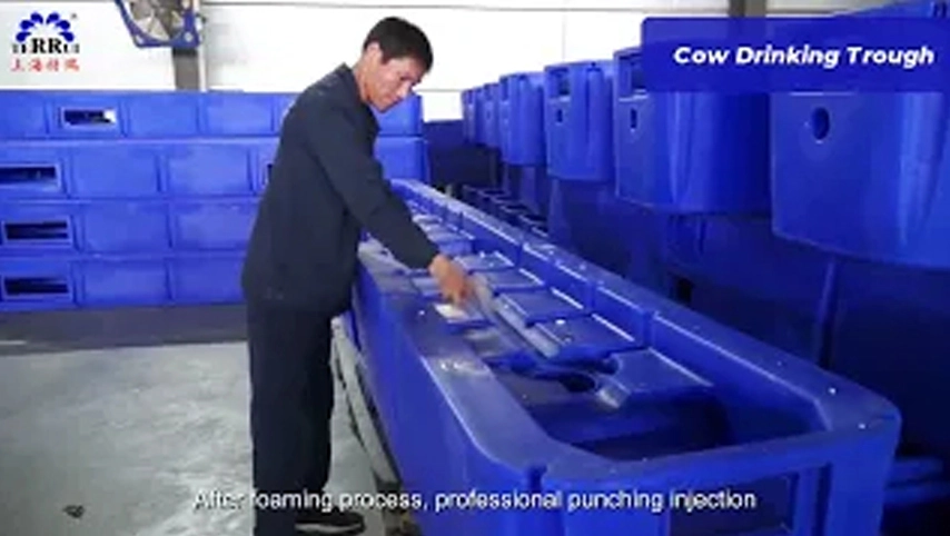 この牛はあなたが興味を持っているトラフを飲みますか?