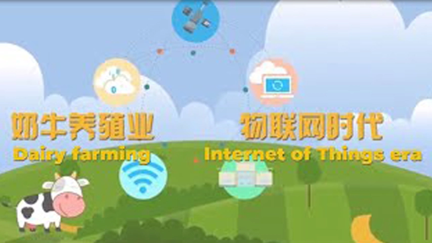 Terui Internet of Things AI Ranchソフトウェアシステム