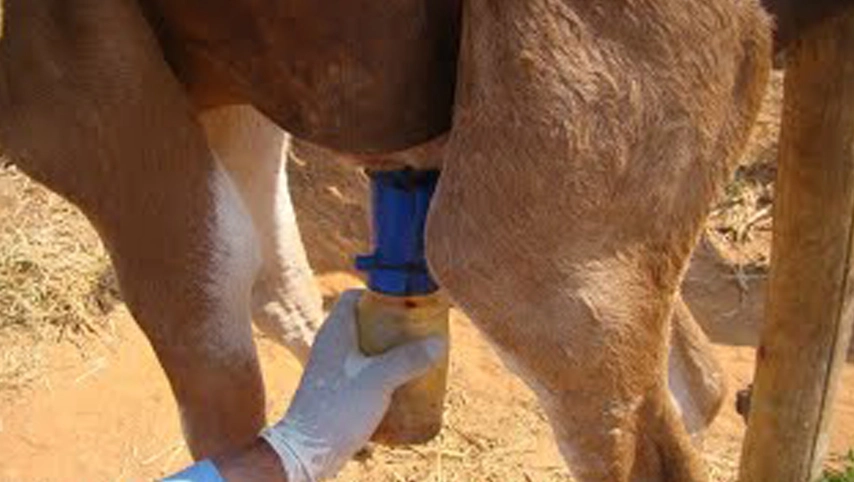 ティーチディップカップ、ノンリターンディップカップ、発泡ディップカップ