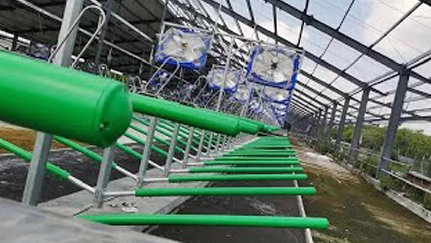 牛フリーストールTerrui工場メーカーランチ設備を提供