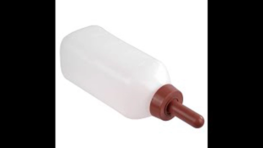 牛乳瓶,養ふくらはぎ