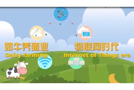 Terrui Internet of Things AI Ranchソフトウェアシステム
