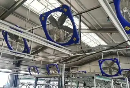 家畜ファン1.2m循環ファンFBA002牛を冷却する効果的な熱放散高品質