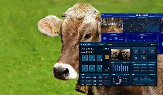 Hazards and Solutions of Ammonia Gas in Cowsheds: Smart Breeding to Improve the Quality and Efficiency of Livestock Management Hazards and Solutions of Ammonia Gas in Cowsheds: Smart Breeding to Improve the Quality and Efficiency of Livestock Management