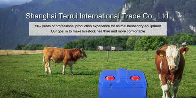 Is it Better for Cattle to Drink Warm Water or Cold Water in Winter? Is it Better for Cattle to Drink Warm Water or Cold Water in Winter?