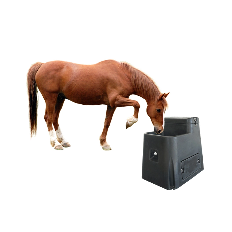 horse water drinker for sale