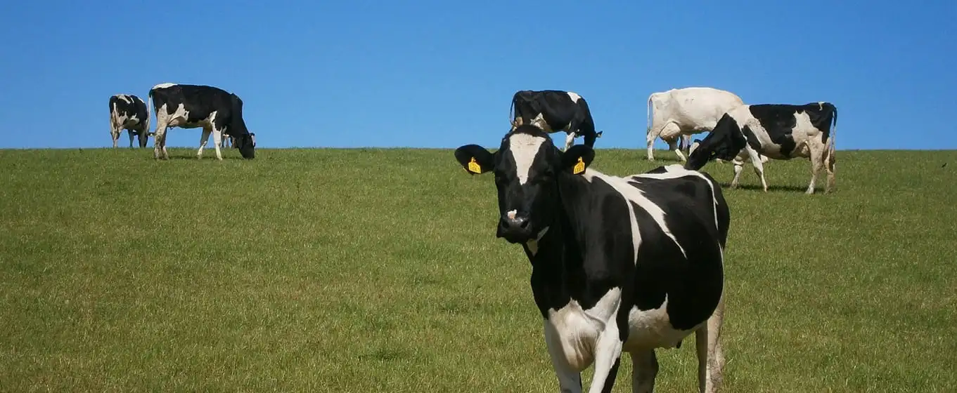 家畜機器のケース