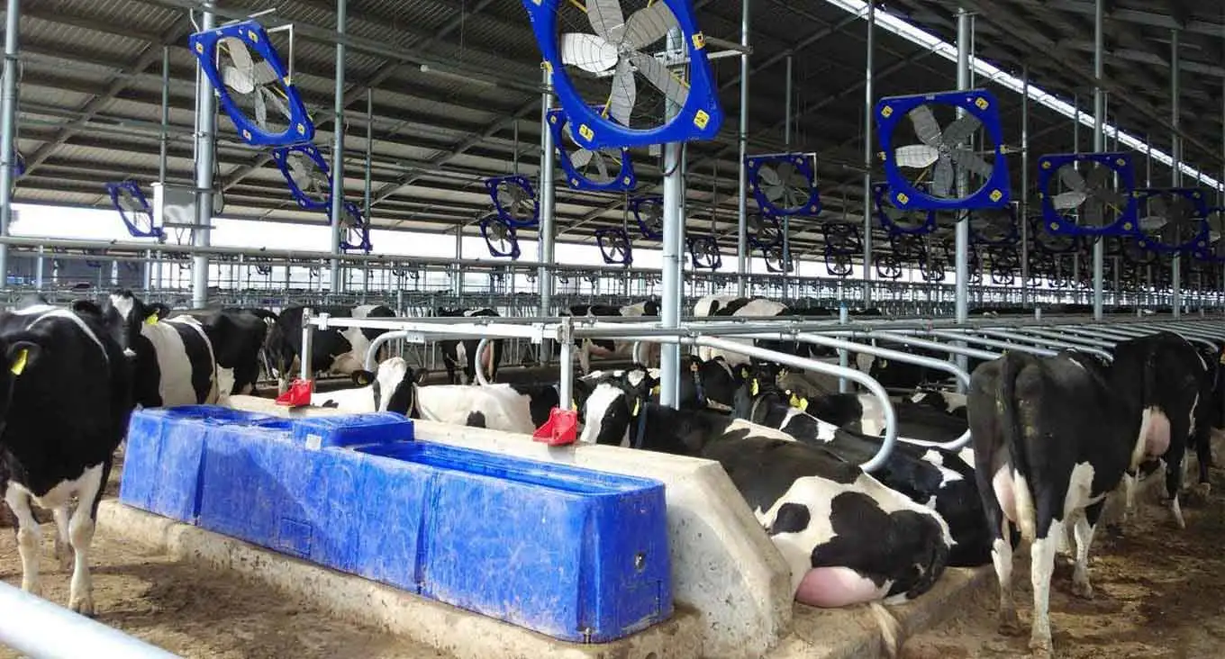 農場と牧場の設備ソリューション