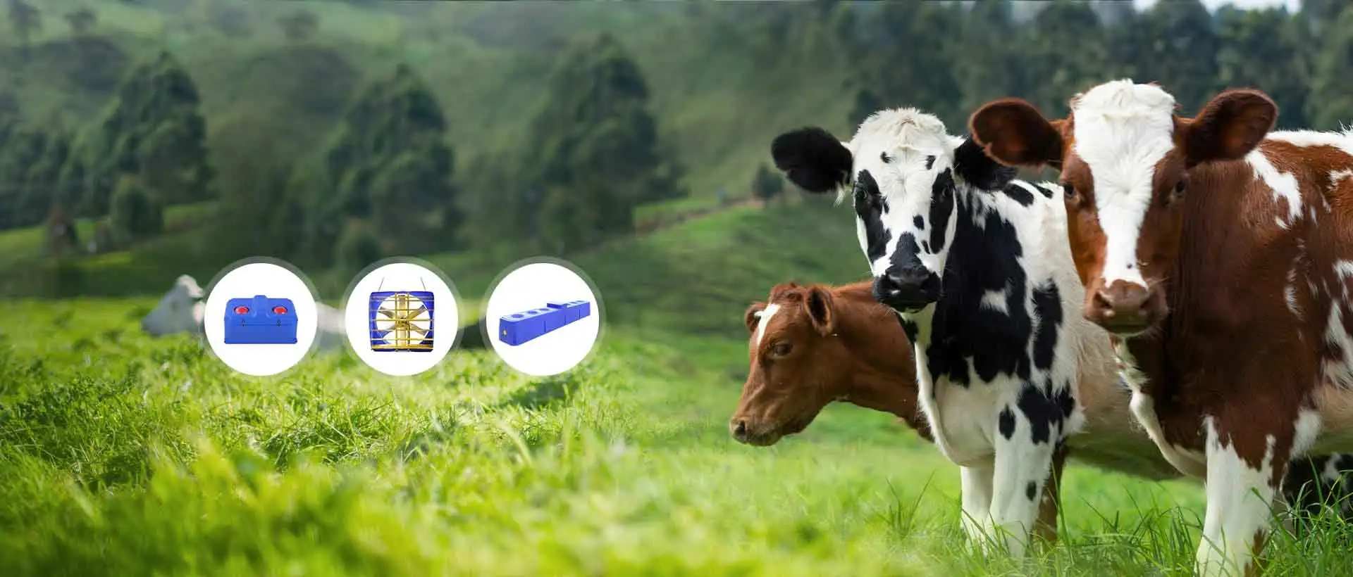 Terrui家畜設備で比類のない品質を体験