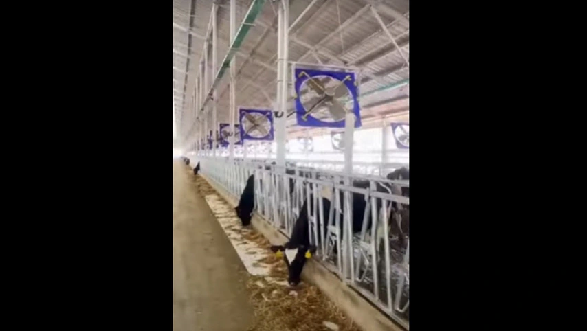 38インチ工業用ファン