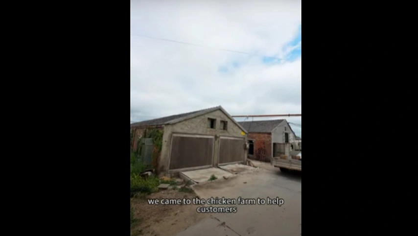 チキンファーム