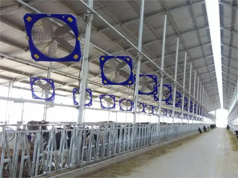 初心者のための牛を飼育するためのベストガイド