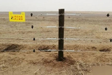 目に見えない草地フェンシング: 家畜へのプラスの影響