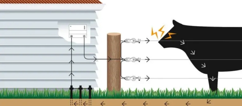 invisible-grassland-fencing-positive-effects-on-livestock_03.png invisible-grassland-fencing-positive-effects-on-livestock_03.png