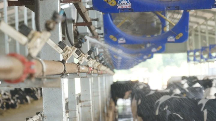 乳牛冷却システム