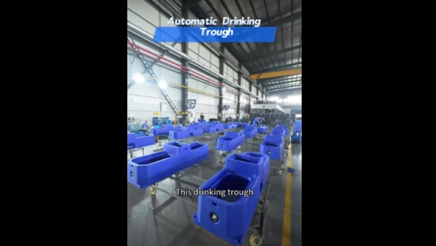 自動飲むトラフ