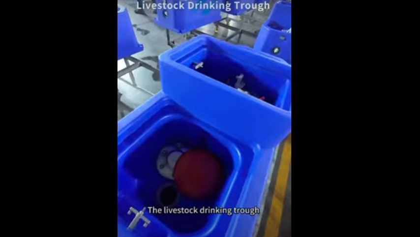 家畜を飲むトラフ