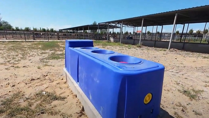 Terrui 2.25m牛の水槽