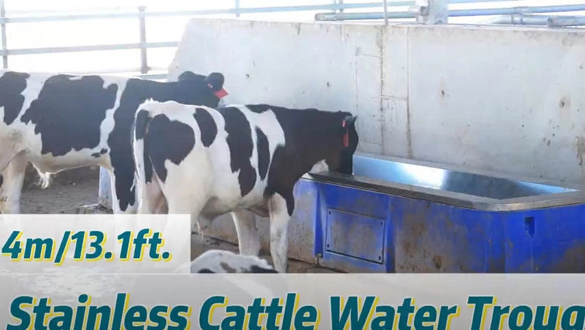 Terrui-4mステンレス牛の水トラフ