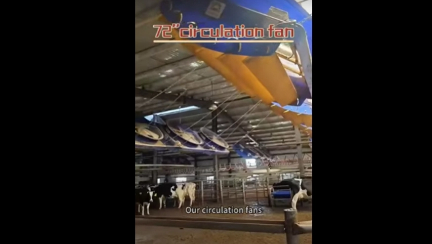 Terrui-72「循環ファン