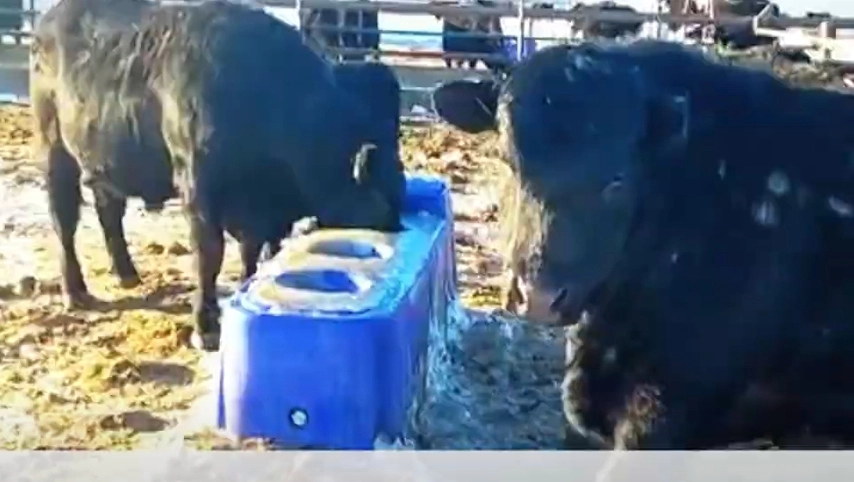 Terrui-家畜の水トラフ