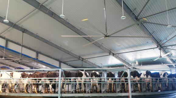 Cooling_at_the_Milking_Machine_Zone.jpg Cooling_at_the_Milking_Machine_Zone.jpg