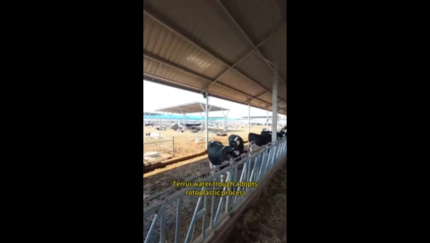 テルイ水トラフ