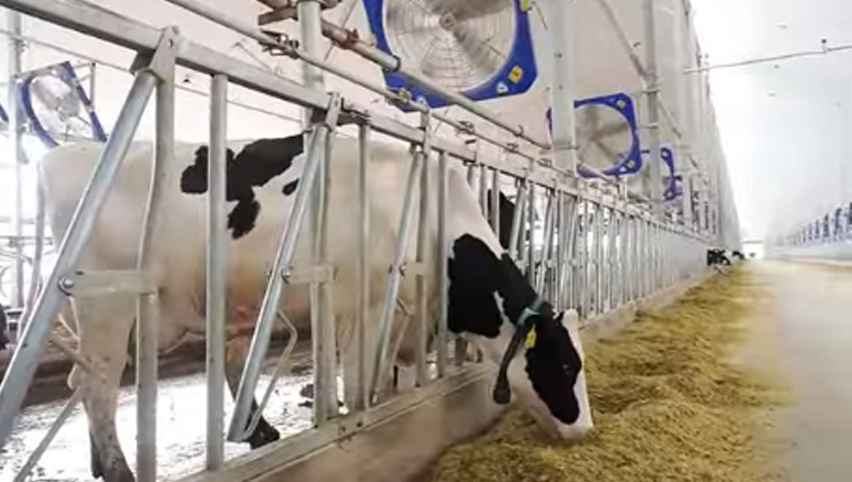 45「循環ファン