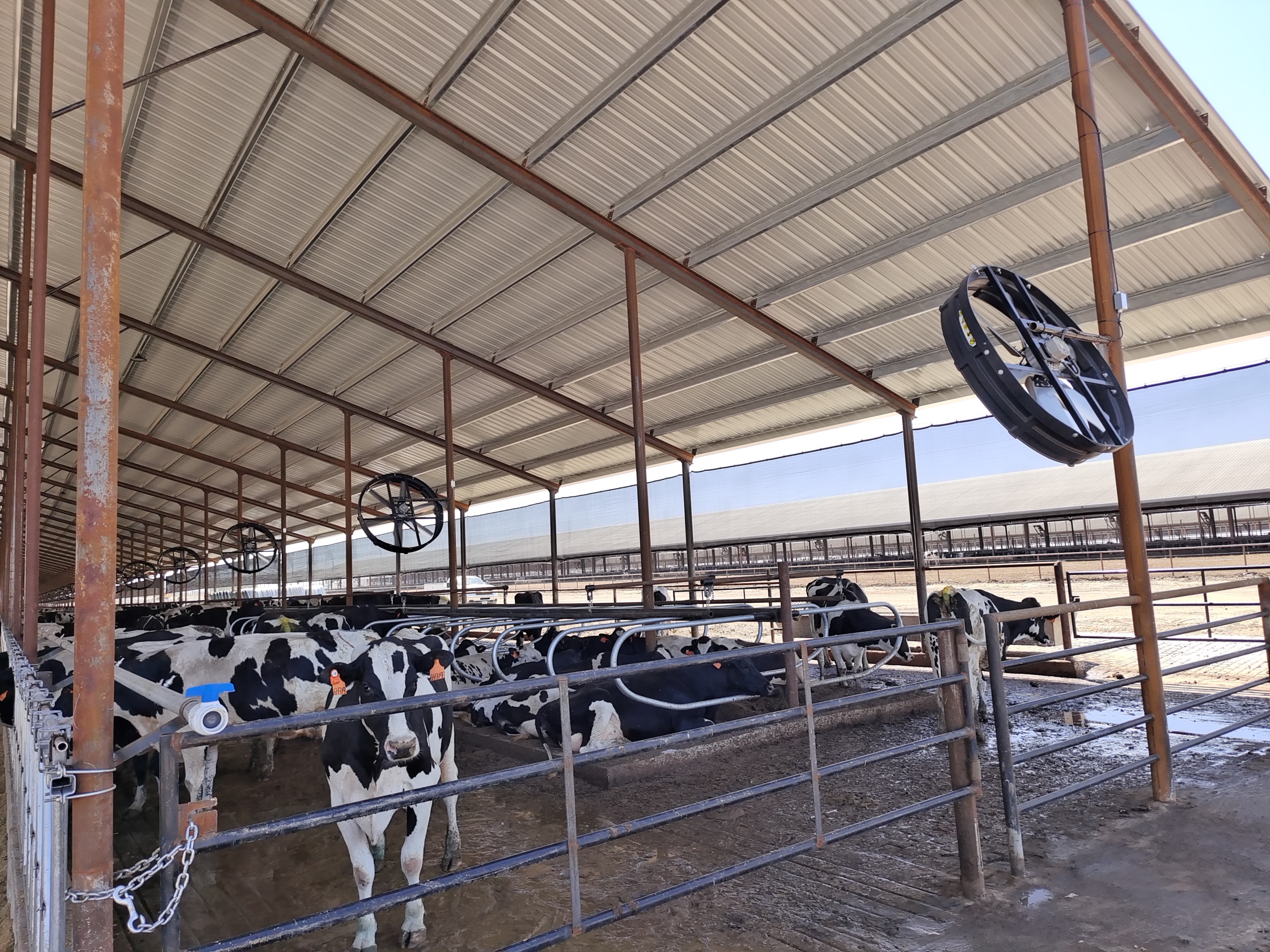 50s9j3lduk6su7capcazc4468_0.jpg 50s9j3lduk6su7capcazc4468_0.jpg