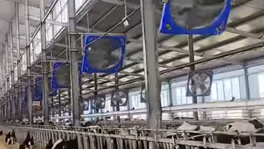 38インチの循环ファン