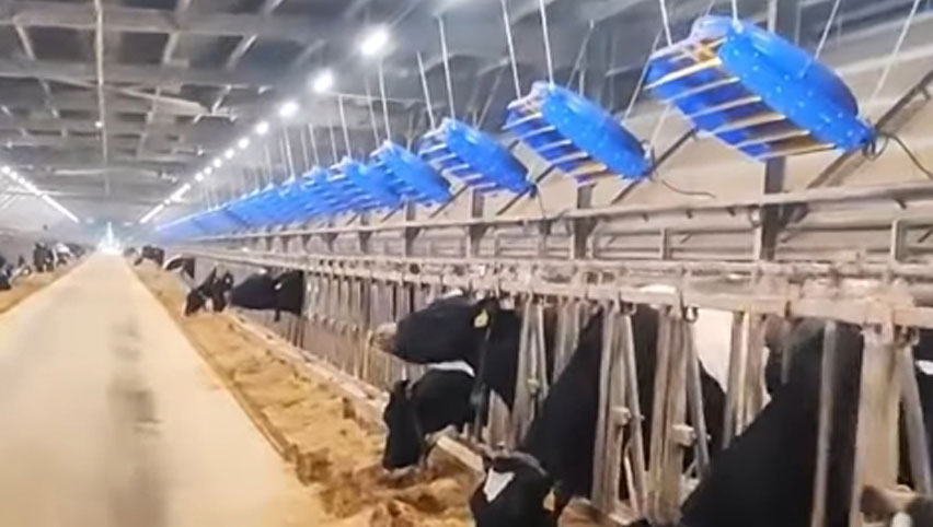 72インチの循环ファン