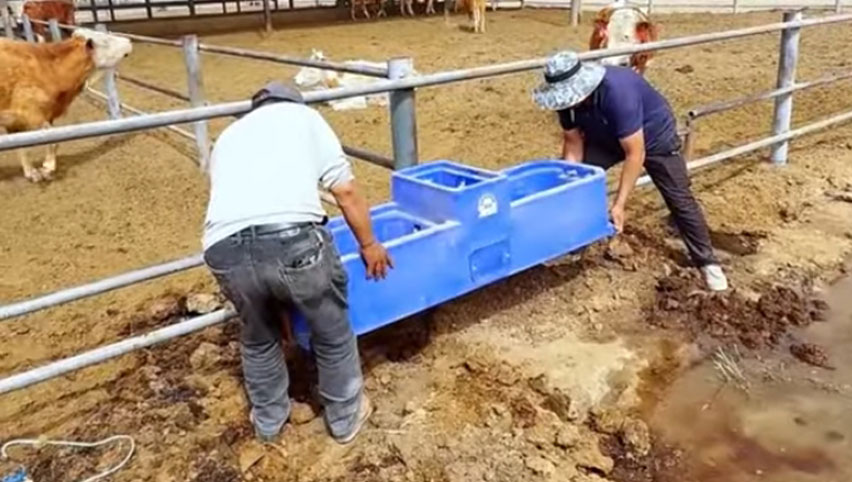 テルイ水トラフ