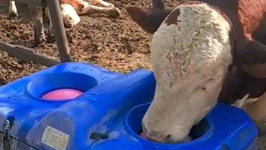 家畜用飼い葉桶