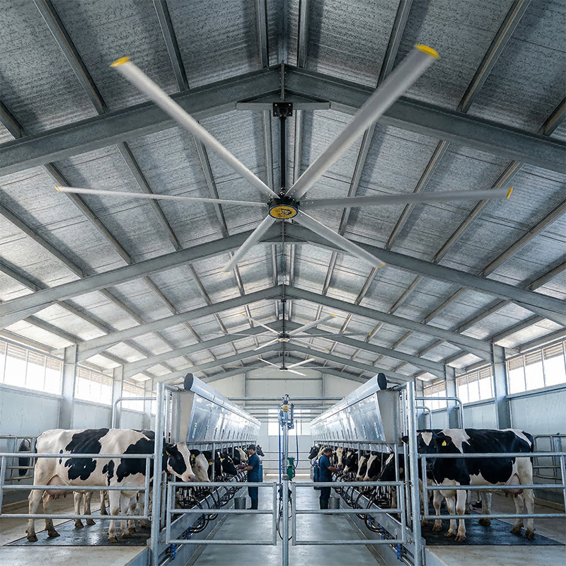 24ft_HVLS_Ceiling_Fan.jpg 24ft_HVLS_Ceiling_Fan.jpg