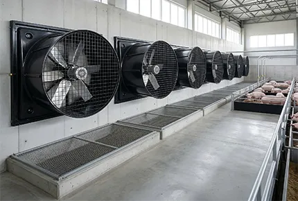 高効率EC排気ファンが家畜の空気質と福祉を向上させる方法