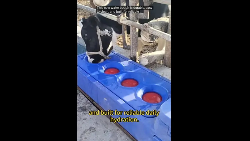 自動牛用水飲み器