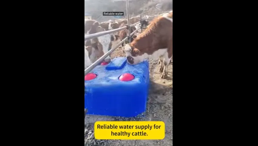 牛用飲水ボウル