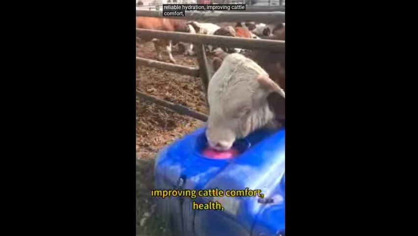 牛用自動給水器