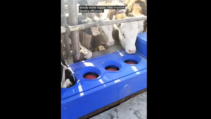 ヤギ用温水水槽