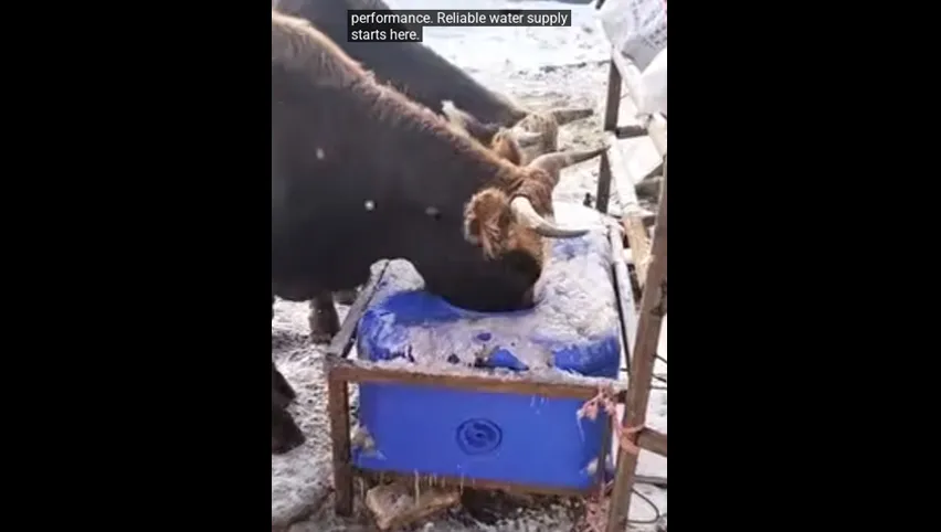 養鶏場用ファン