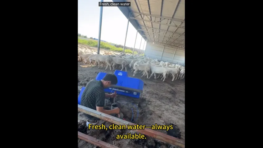 ステンレス製牛用飼い葉桶
